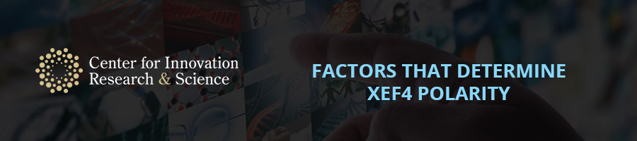 Factors That Determine XeF4 Polarity