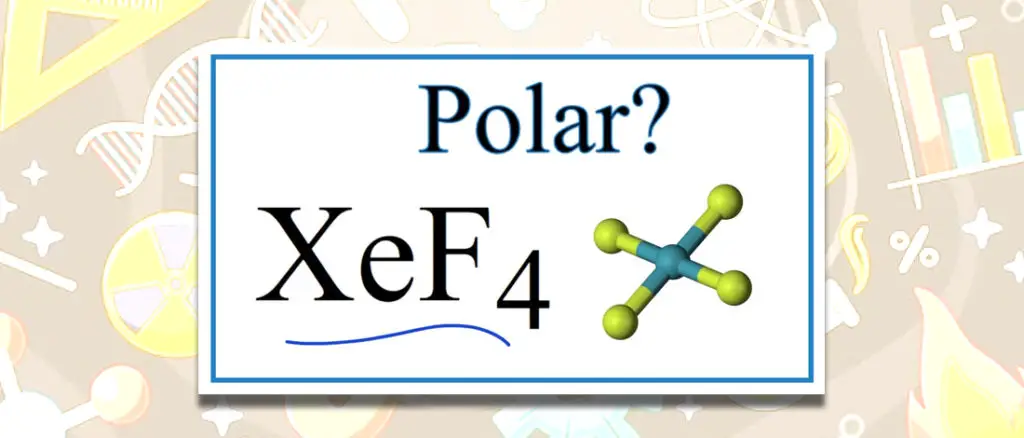 XeF4 Polar or Nonpolar